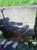 image of grave number 380720